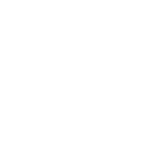 Panache Photographe
